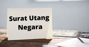 Kenali Lebih Dekat Surat Utang Negara