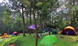 camping ramah lingkungan