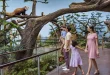 Singapore Zoo dan River Safari, Destinasi Wisata yang Ramah Anak
