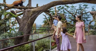 Singapore Zoo dan River Safari, Destinasi Wisata yang Ramah Anak