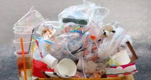 Inovasi DLH dalam Edukasi Publik tentang Pengelolaan Sampah